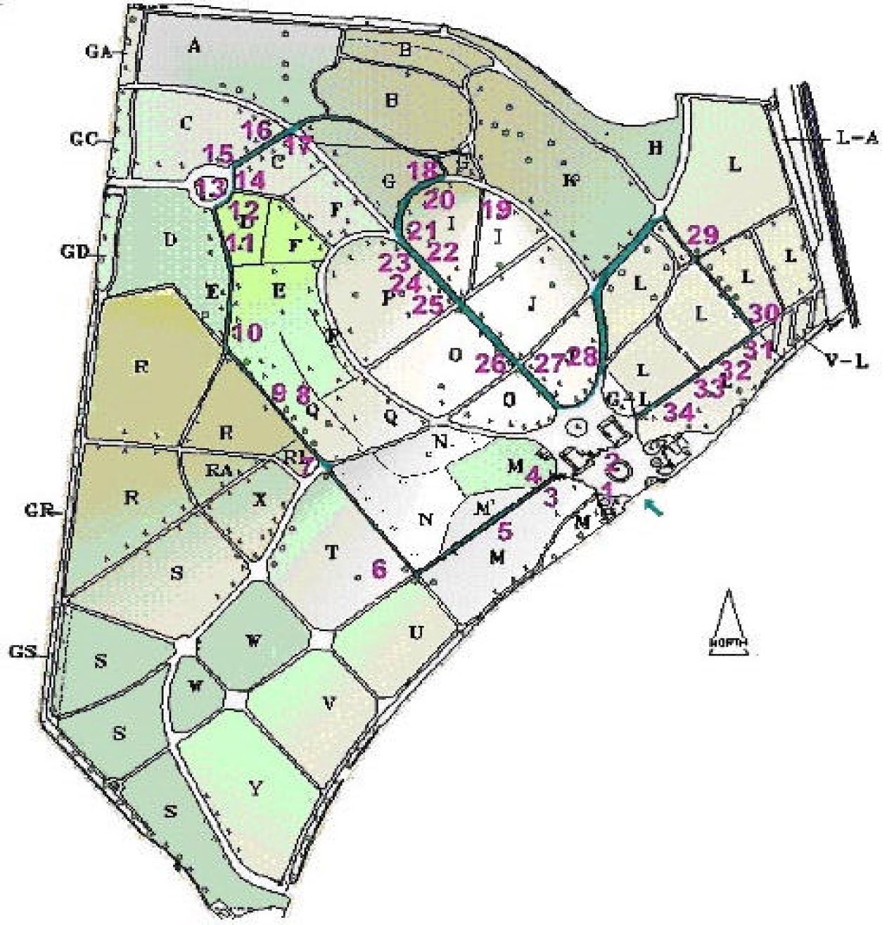 Map of Cathays Park Cemetery, showing William Llewellyn Rhys's grave as number 31